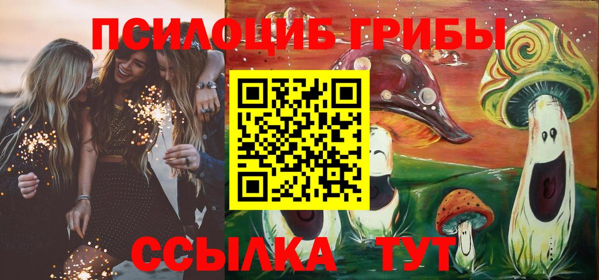 Галлюциногенные грибы Psilocybe  Псилоцибиновые грибы MAGIC MUSHROOMS  Тара  Вход с VPN 