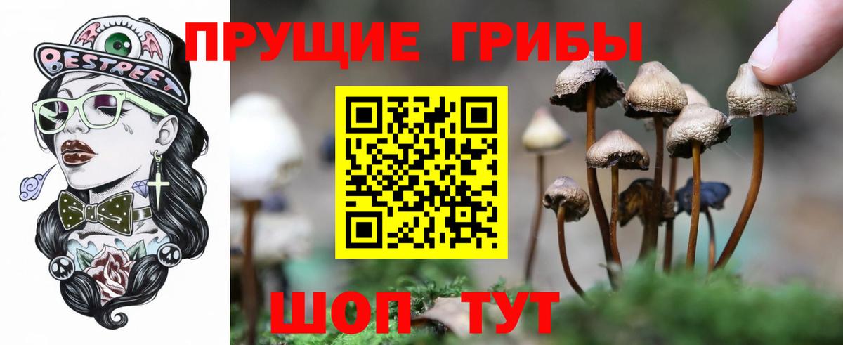 Псилоцибиновые грибы мухоморы  Псилоцибиновые грибы мухоморы  Тара 