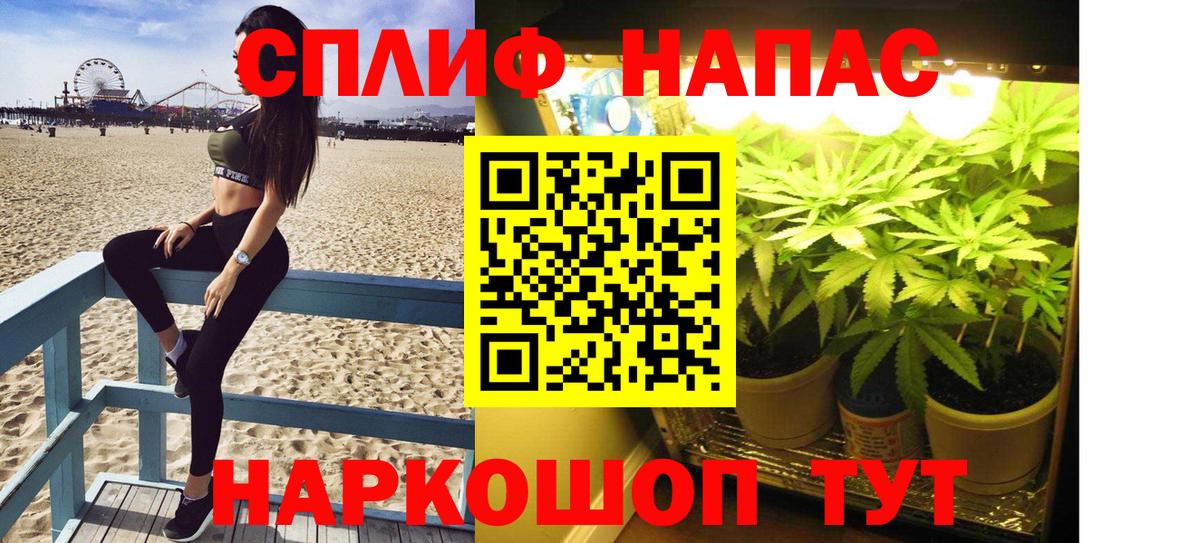 Бошки марихуана тримм  Марихуана гибрид  Вход с VPN  Бошки марихуана тримм  Тара 